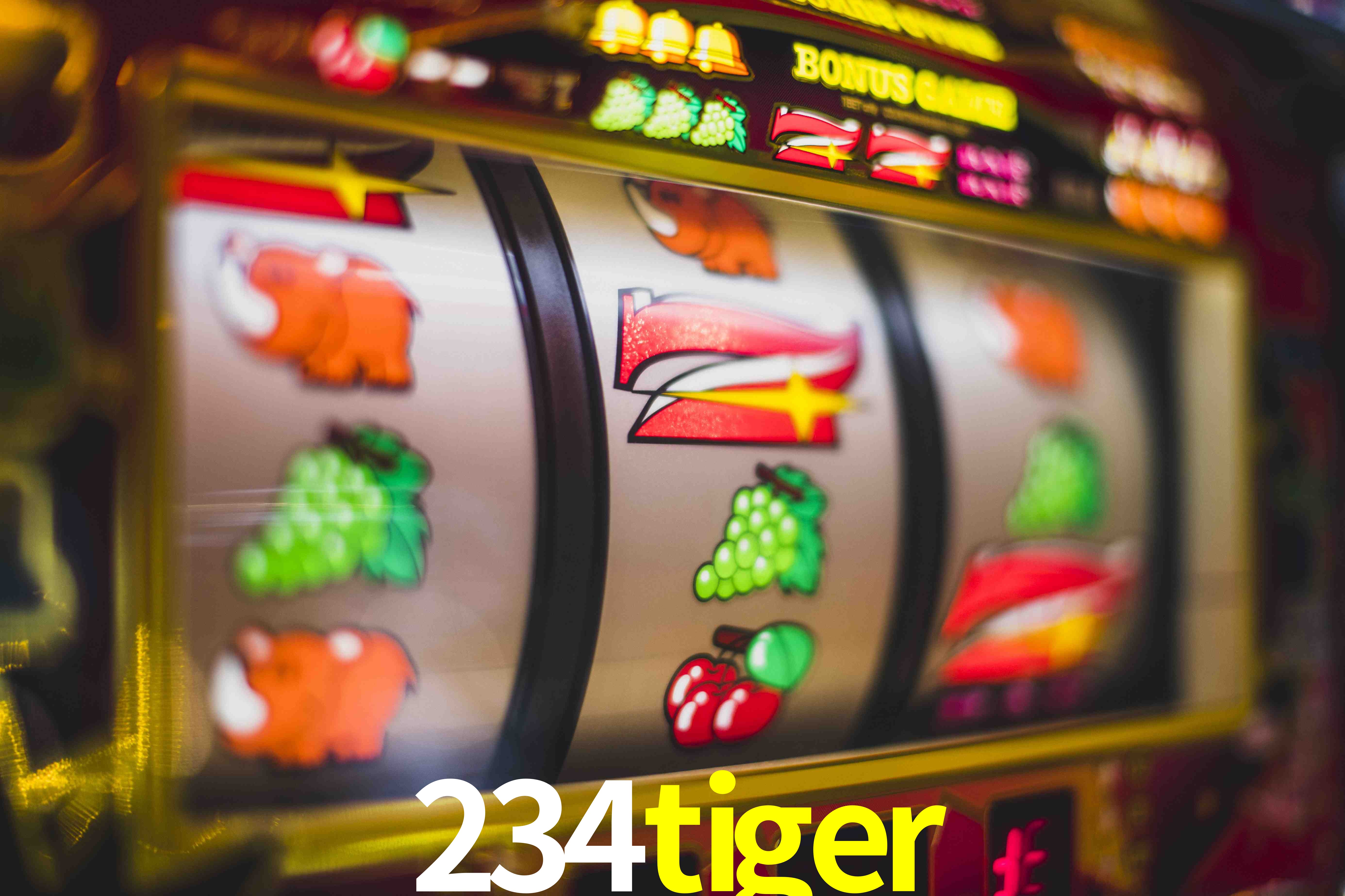 VIP Casino 234tiger
