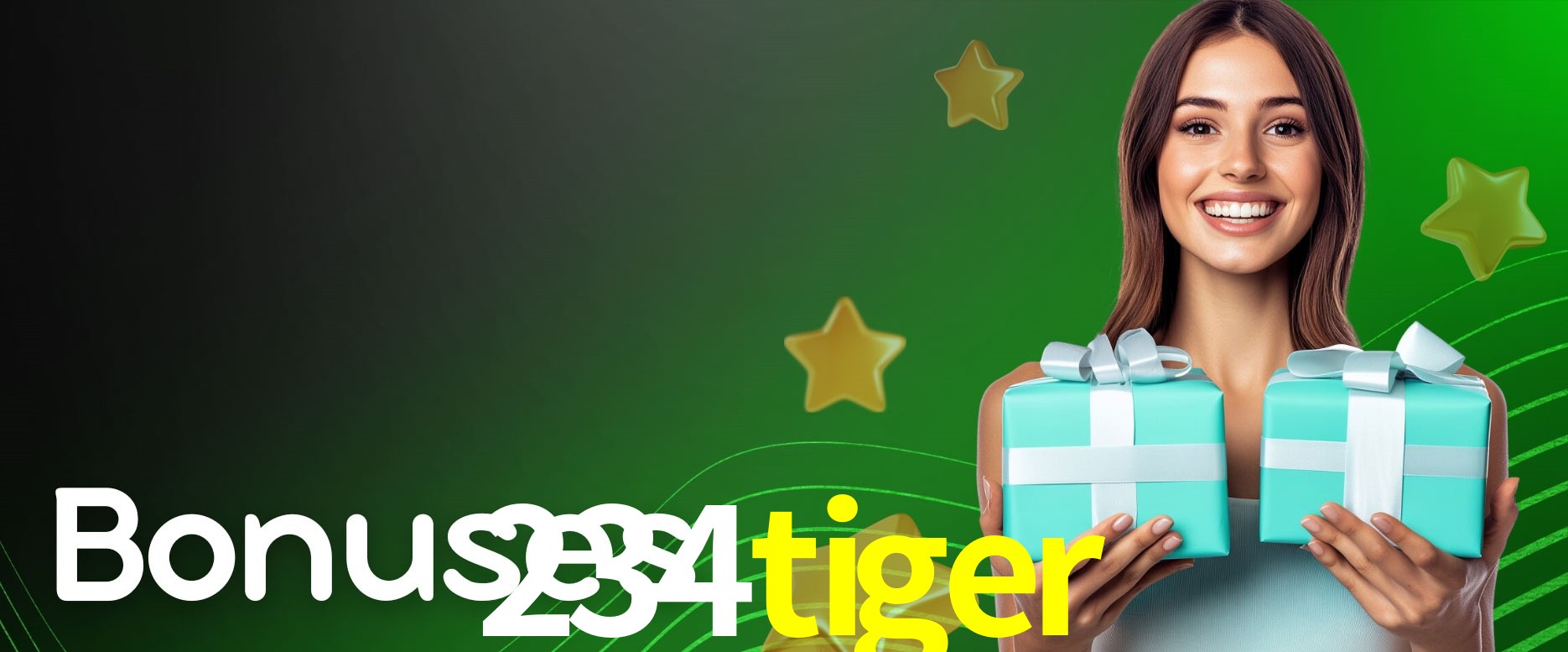 Secure Login 234tiger