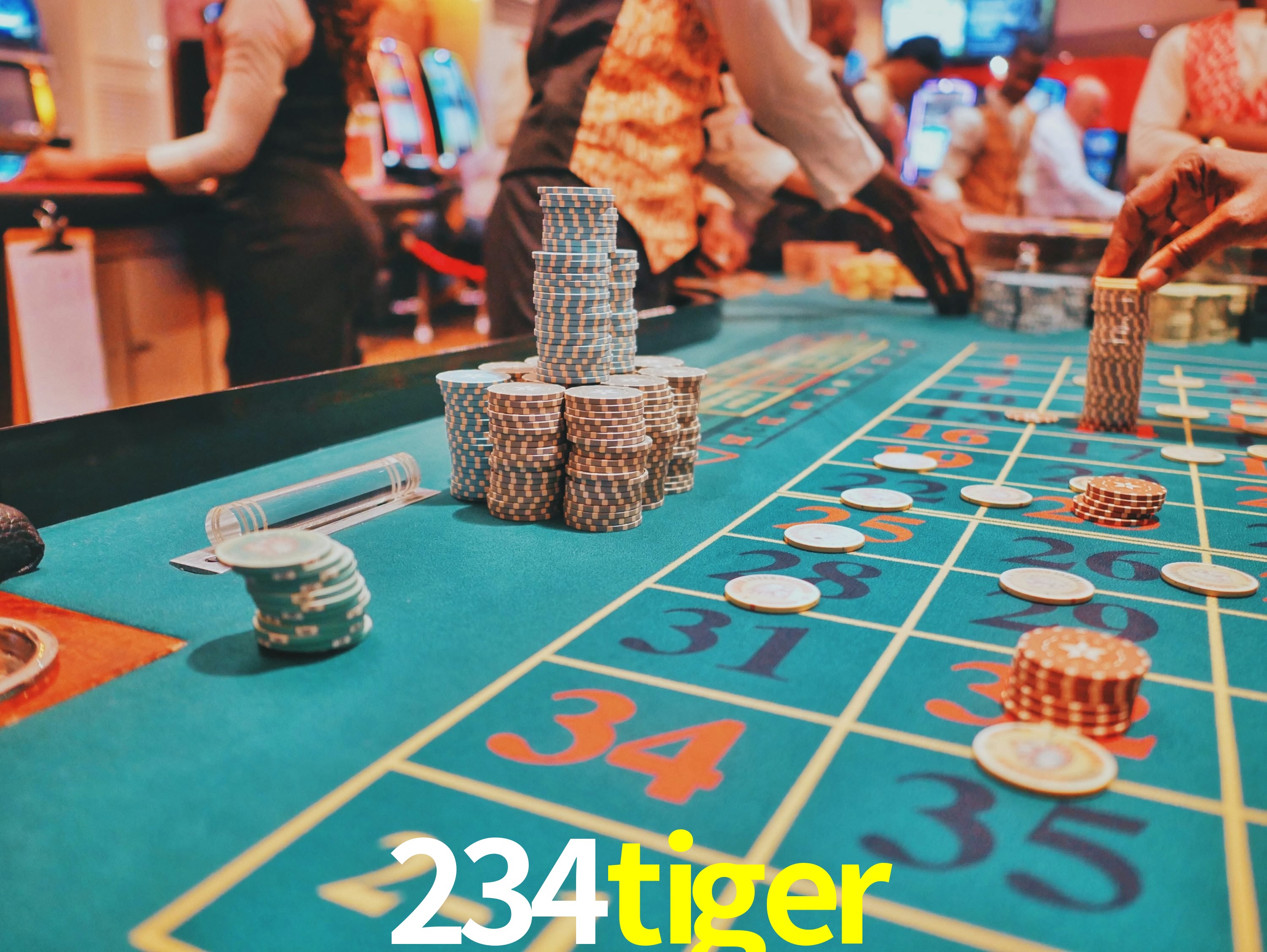 A Emoção da Loteria na 234tiger: Uma Chance de Mudança de Vida